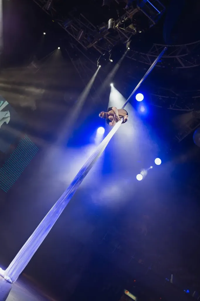 Vystoupení vzdušné akrobacie (Akrobatické šály, 3-5 min, 1 osoba)